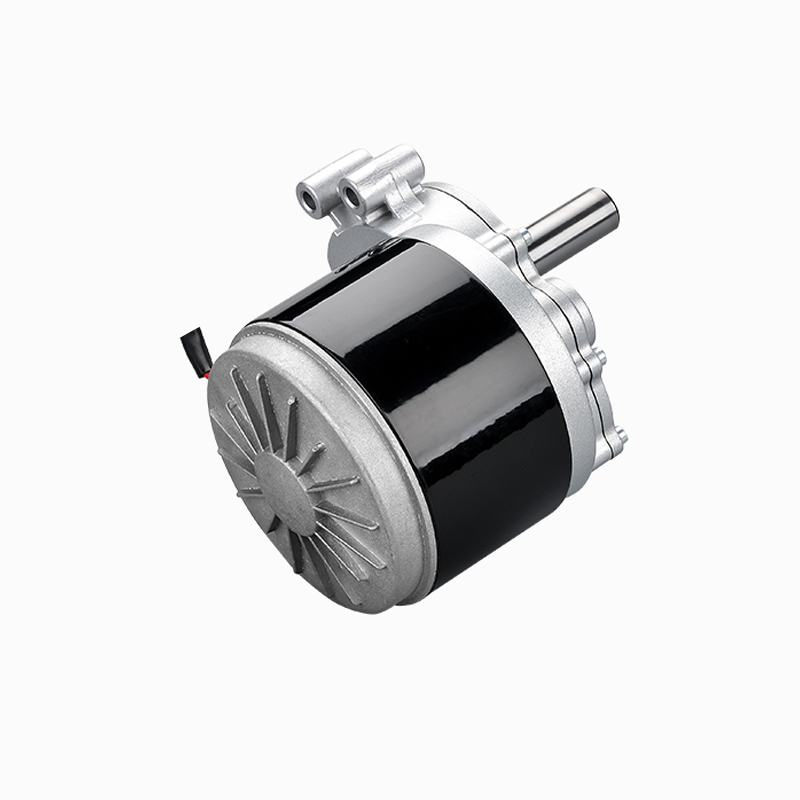 ZY1016L7 Low speed electric wheelchair brush motor 
