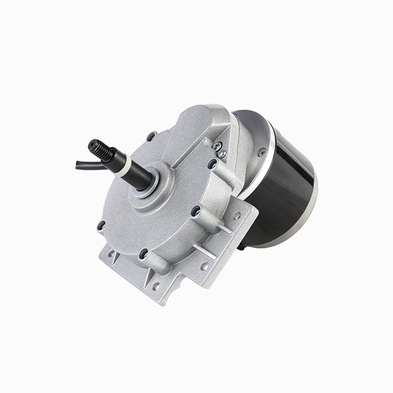 ZY1016LZ High quality 200W24V 1016 wheelchair brushed DC reduction motor