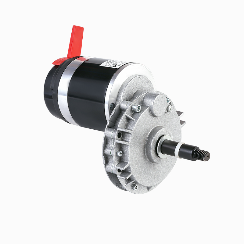 ZY9016L3-S High-performance wheelchair motor reduction brushed low-speed permanent magnet DC motor